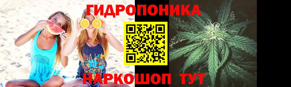 Осинники  МАРИХУАНА White Widow  Бошки Шишки Ganja  Вход с VPN 